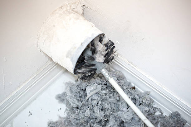 Best HVAC Duct Inspection Services  in Smyrna, DE